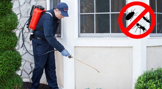 Gümüşova Böcek ve Haşere İlaçlama böcek ilaçlama ve haşere kontrolü — ilaclama-tr.com